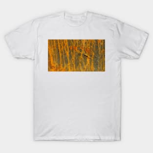 Natures RUST ART Patterns number FIVE T-Shirt